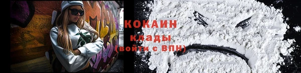 дживик Баксан