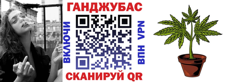 Каннабис сатива  Купить где  Терек 
